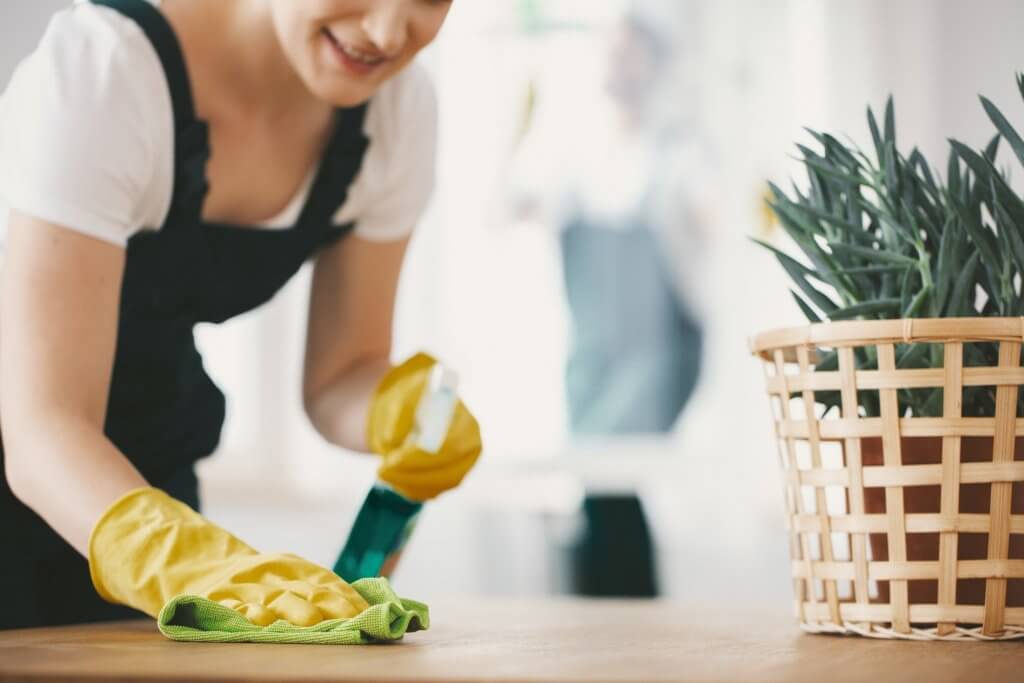 Presenting Best Ways for Simplifying the Laundry Cleaning Process