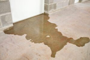 Basement Leak