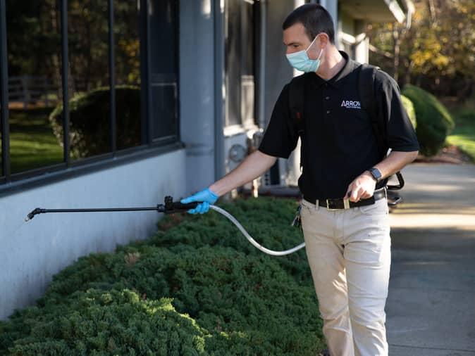 What to Expect With Insect Control Firms